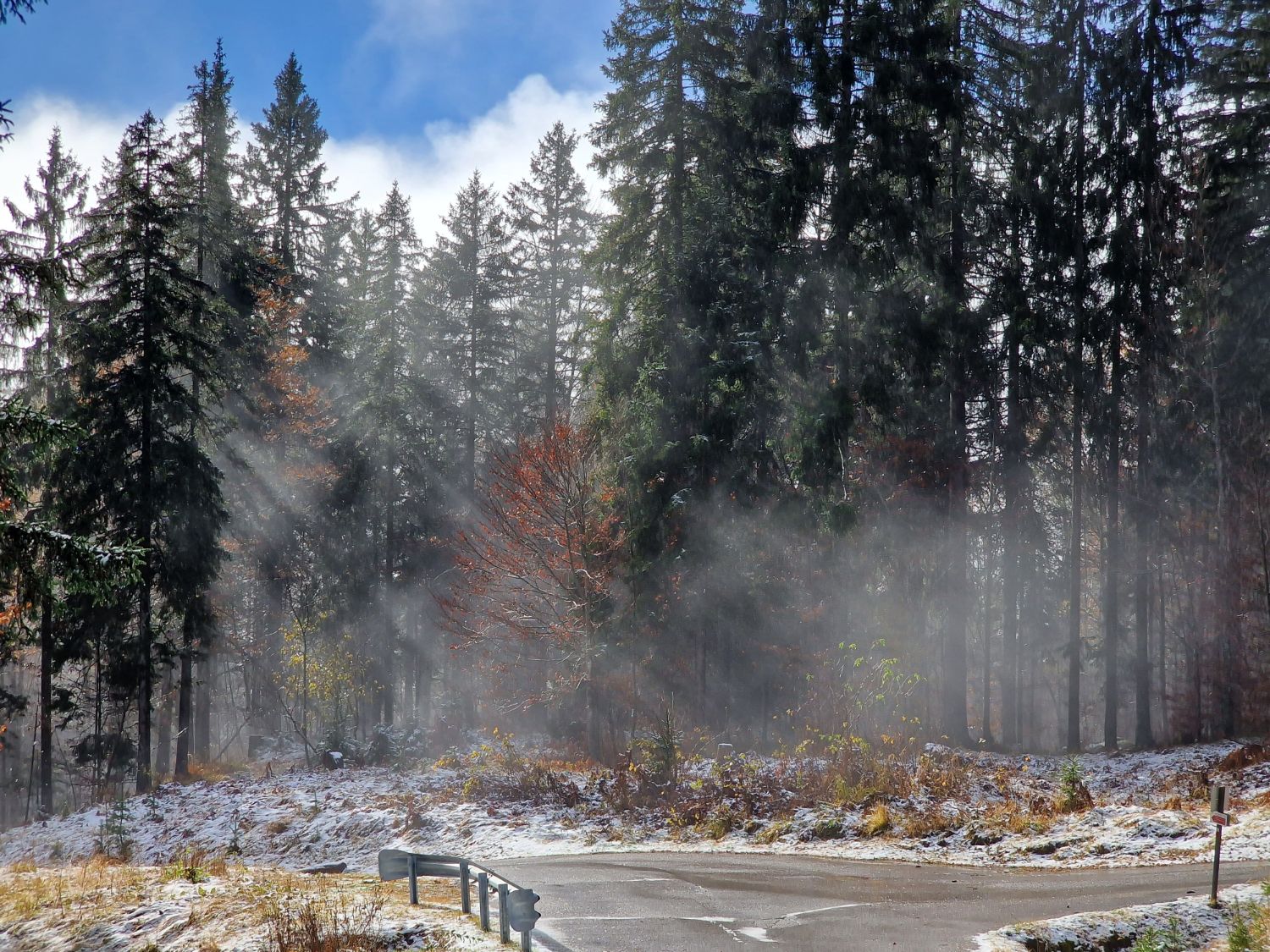 Raggi di sole e nebbia tra gli abeti di un bosco, con le prime spolverate di neve sul terreno, foglie autunnali arancioni e una strada in primo piano
