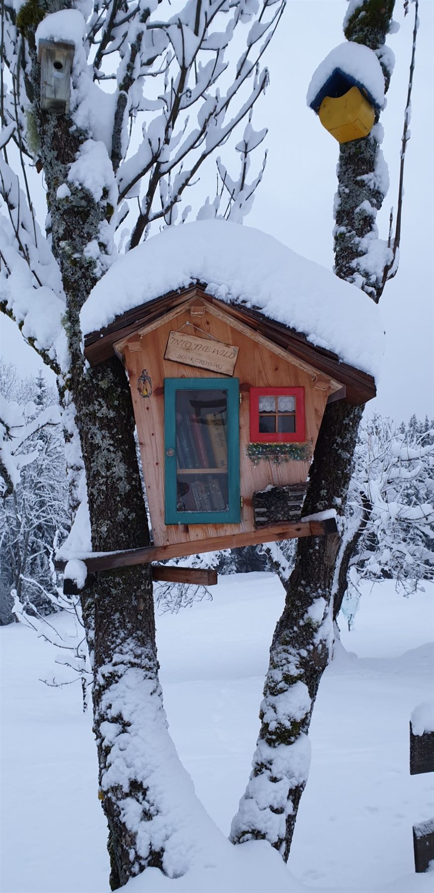 Bacheca del bookcrossing a forma di casetta in legno, tra i rami di un albero carico di neve