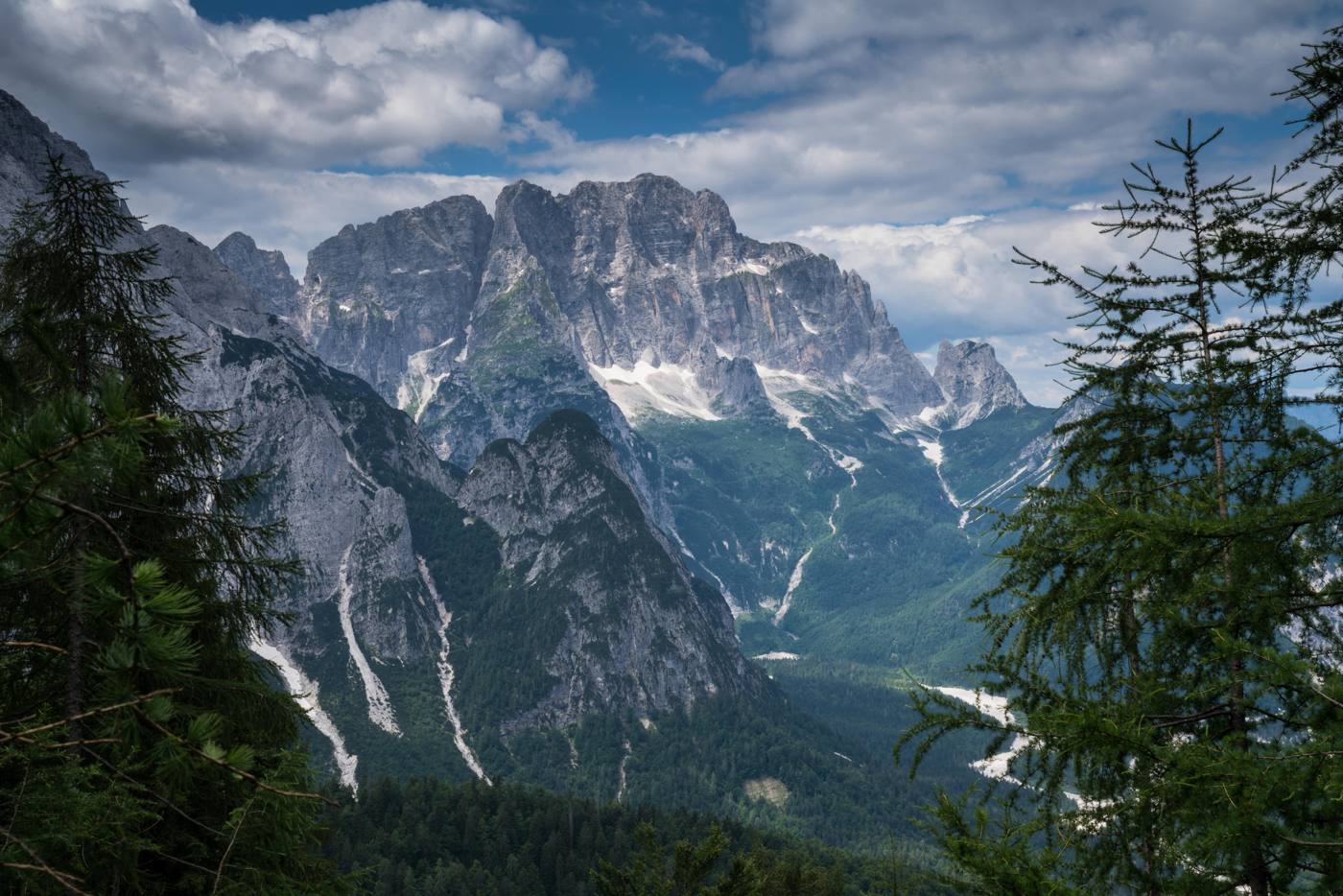 Le pareti delle Alpi Giulie tra i larici